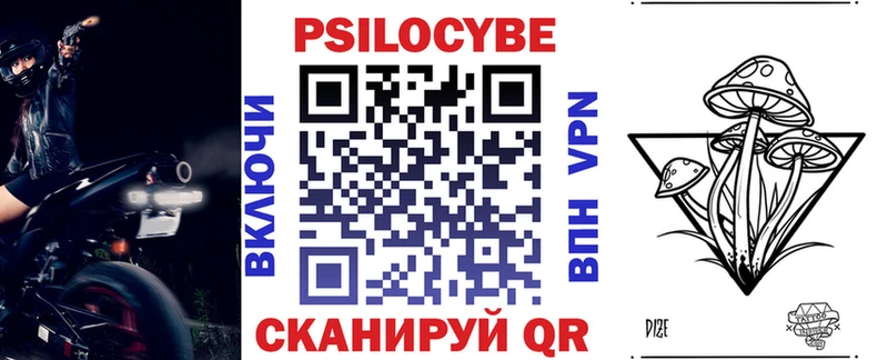 даркнет как зайти Новомичуринск Галлюциногенные грибы мухоморы купить закладку omg маркетплейс